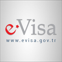 Electronic Visa Application System